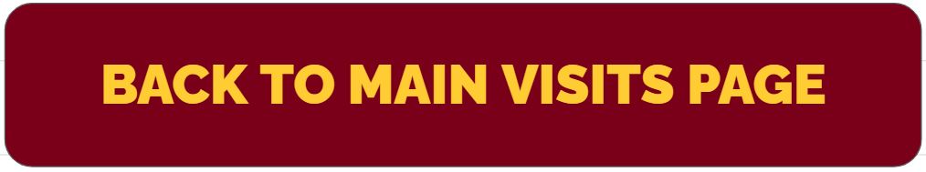 Back to main visits page button